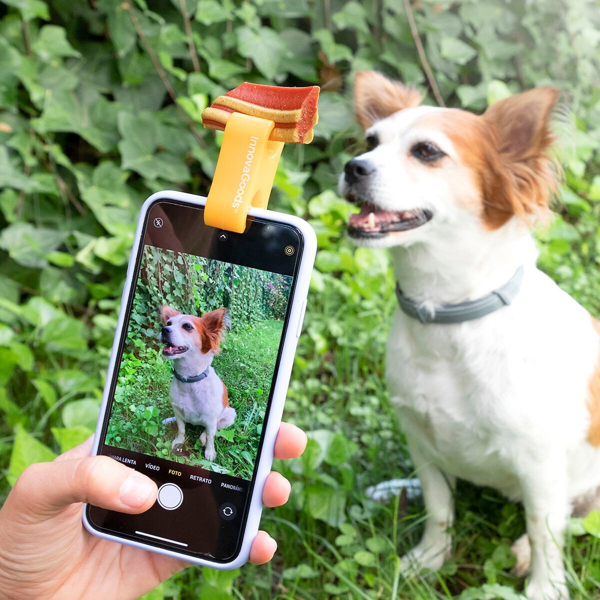 Clip selfie flexible et sûr pour animaux de compagnie