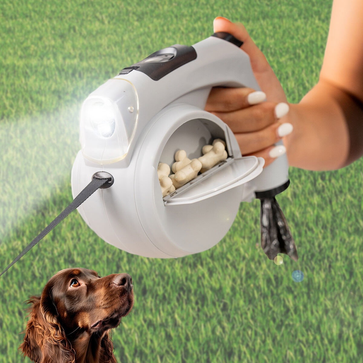 6-in-1 ausziehbare Hundeleine Leashic InnovaGoods