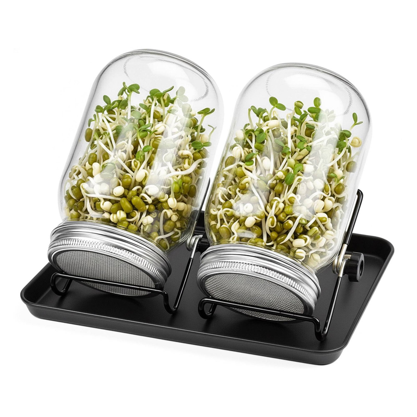 Ensemble de 2 bocaux de germination avec support et plateau