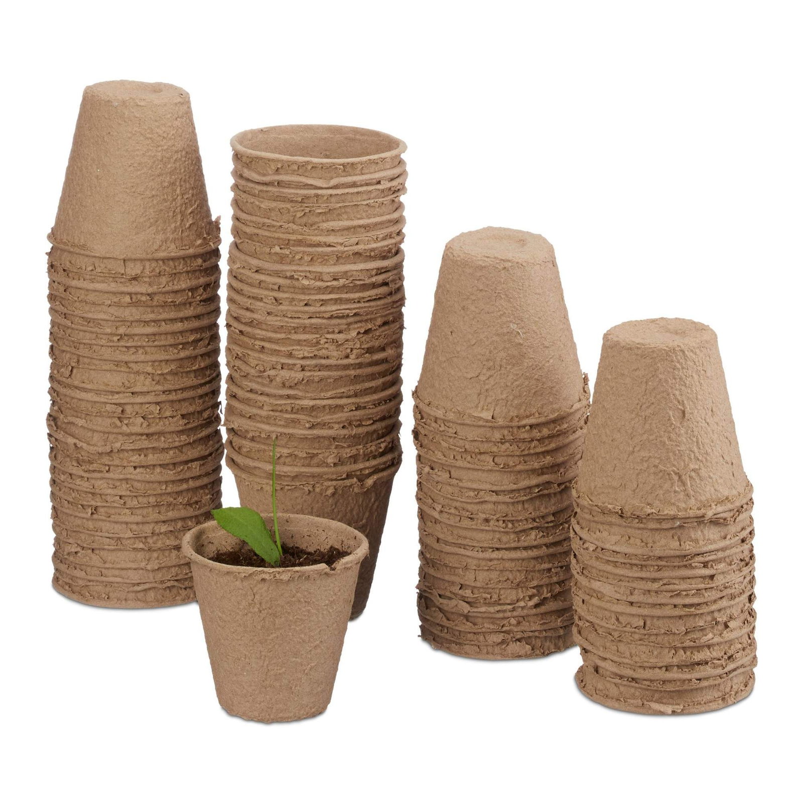 Pots de graines 80 pièces