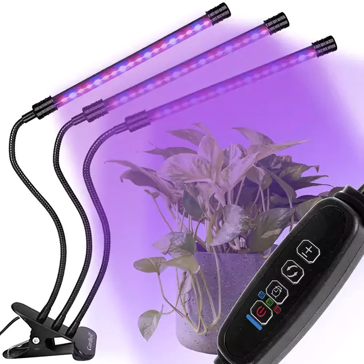 Einstellbare Kultivierungslampe - LED, Timer